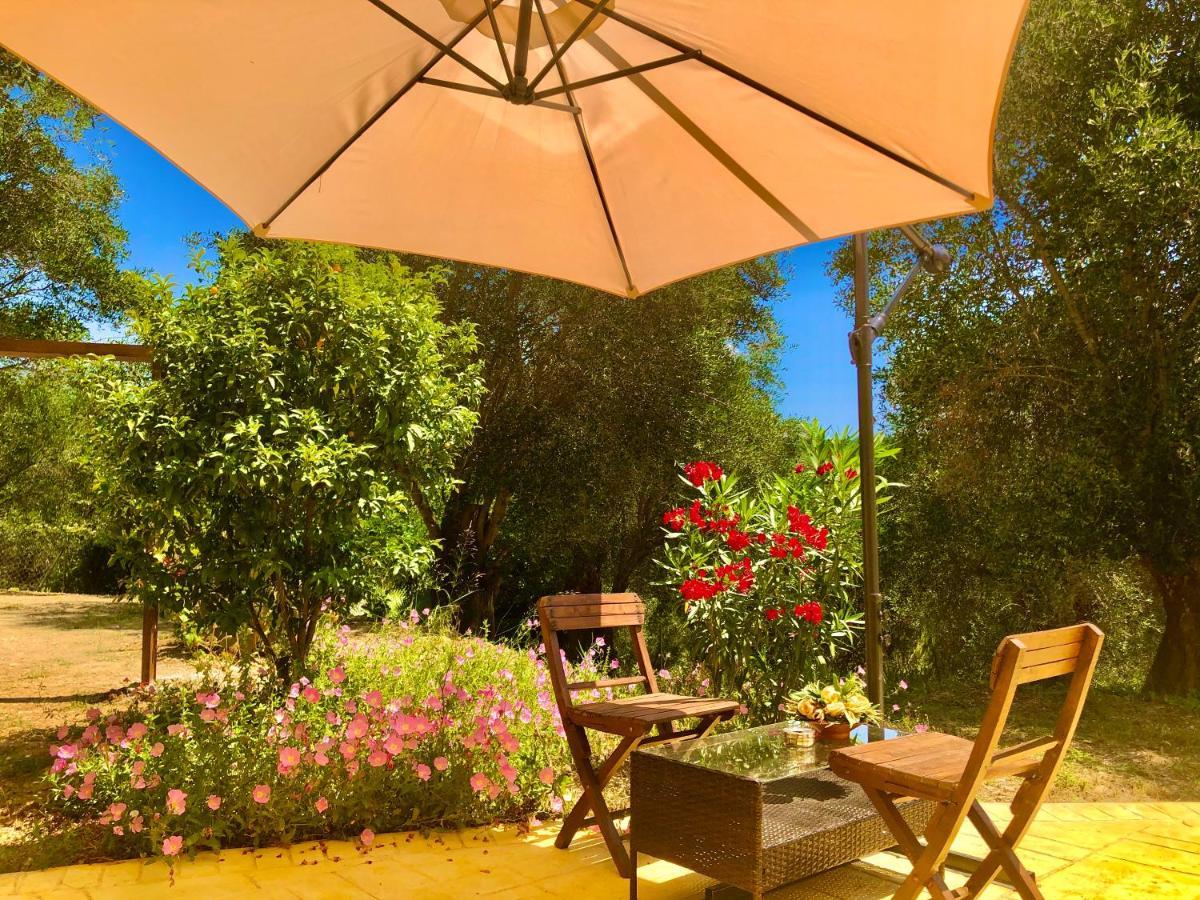 Armonia Corfu Luxury Apartment Liapades Exteriér fotografie